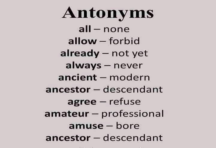 Complete Antonyms Words Image List Galleries 